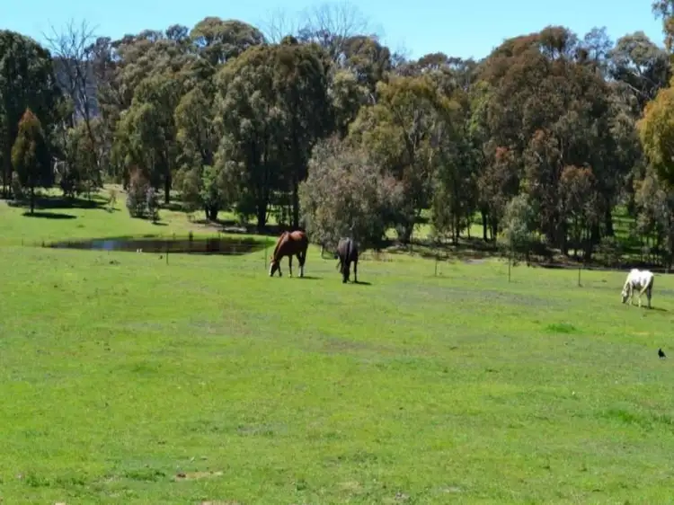 Fourth view of Homely rural property listing, 101 Bromfield Drive, Tolmie VIC 3723