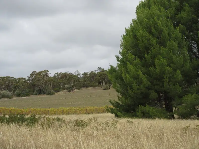 Main view of Homely rural property listing, 57 Douglas Gully Road, Mclaren Flat SA 5171