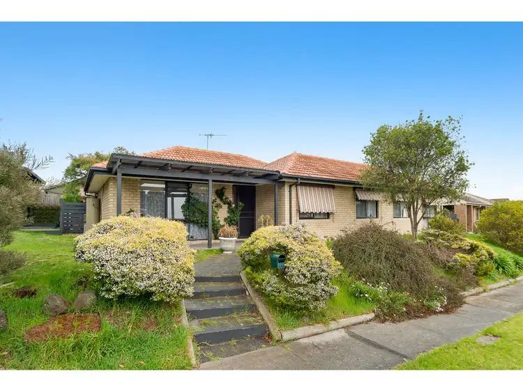 Main view of Homely house listing, 24 Gattinara Drive, Frankston VIC 3199