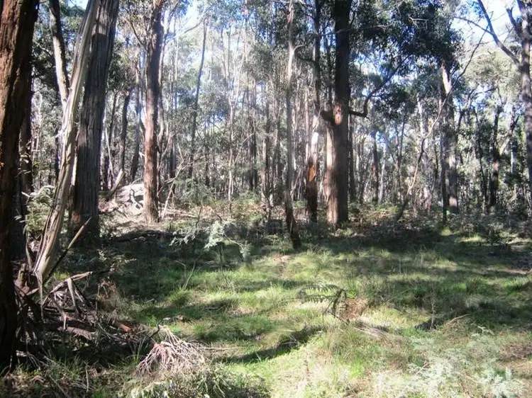 Third view of Homely rural property listing, 434 Bourke & Wills Track, Lancefield VIC 3435