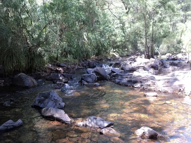 Seventh view of Homely house listing, 541 Hawks Head Road, Brogo NSW 2550