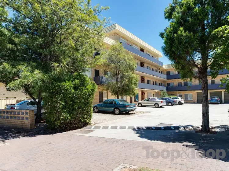 3/225 Anzac Highway, Plympton SA 5038