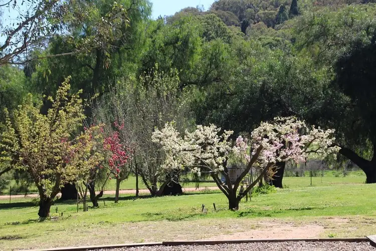 Fifth view of Homely rural property listing, 46 Tierney Lane, Mudgee NSW 2850