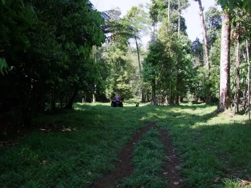 Main view of Homely rural property listing, F884/RN252 Maalan Road, Millaa Millaa QLD 4886