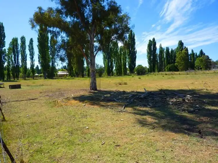 LOT Lots 18, 19 & 20, Lots 18, 19 & 20 Thistle Street, Molong NSW 2866