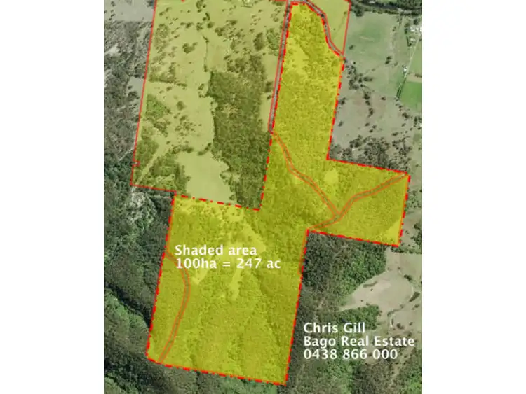 Second view of Homely rural property listing, 1281 Pappinbarra Road, Hollisdale NSW 2446