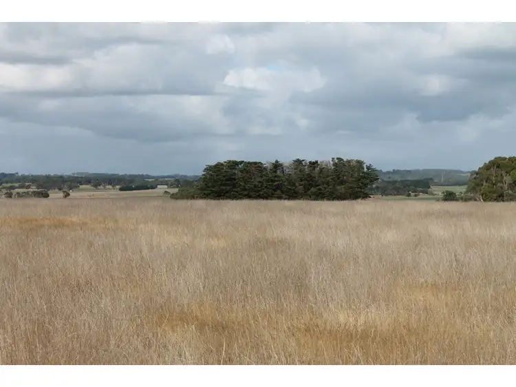 Fourth view of Homely rural property listing, 1075 Larpent Road, Larpent VIC 3249