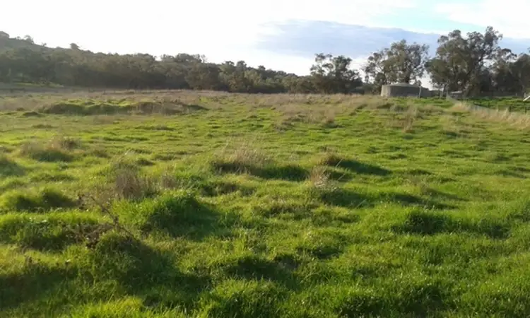 Fifth view of Homely house listing, 224 Packham Drive, Molong NSW 2866