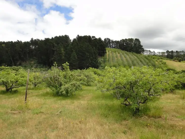 Main view of Homely rural property listing, 73 Swamp Road, Lenswood SA 5240