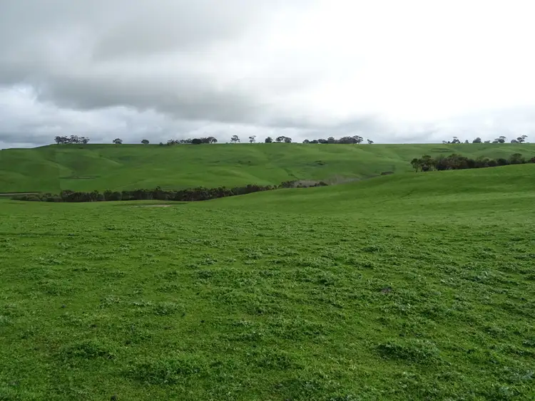 Second view of Homely rural property listing, McInnes Road, Coleraine VIC 3315