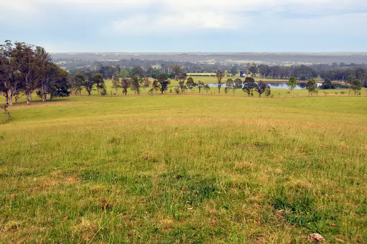 Sixth view of Homely rural property listing, 505 Cuthill Road, Cobbitty NSW 2570