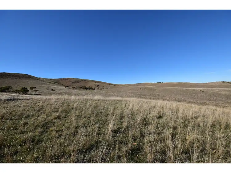 Fourth view of Homely rural property listing, LOT 104 Mine Road, Palmer SA 5237