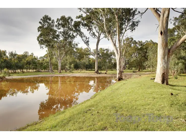 LOT 1 Gum View Road, Meadows SA 5201