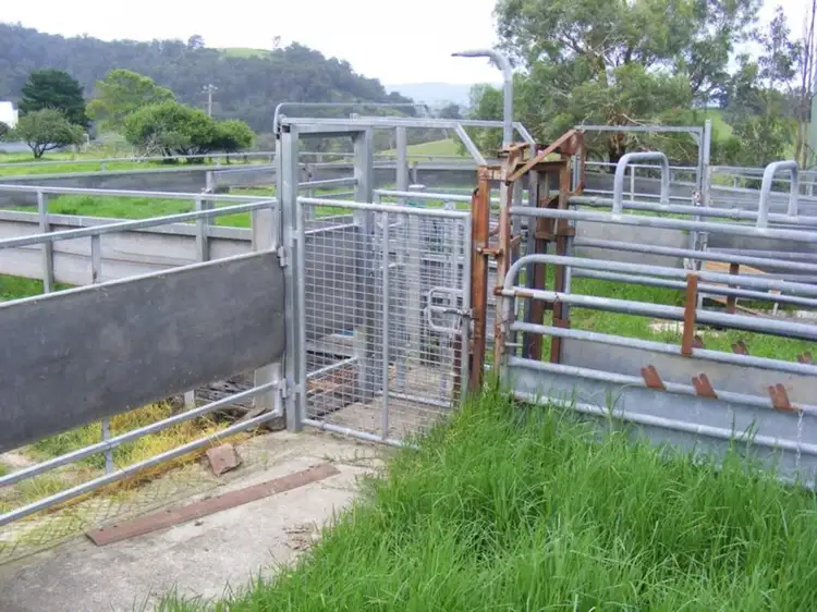 Second view of Homely house listing, 369 Cooper Gully Road, Bega NSW 2550