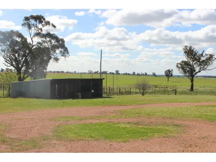 Seventh view of Homely rural property listing, 459 Hoopers Road, Forbes NSW 2871