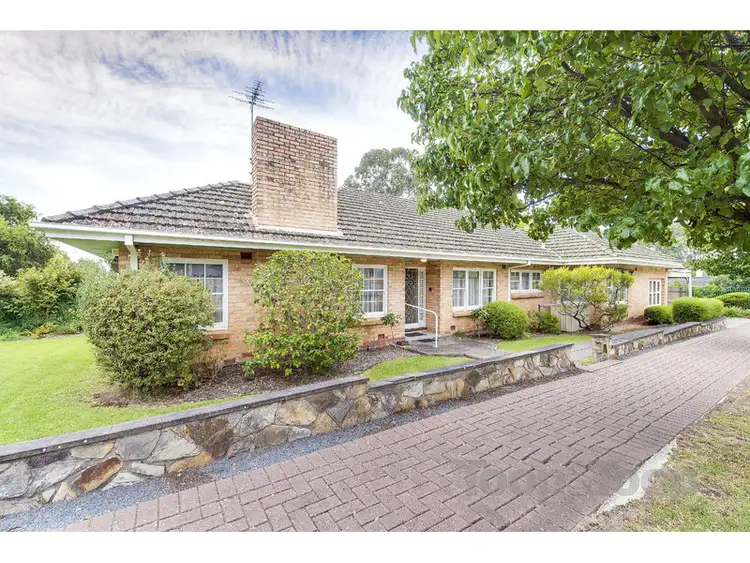 Main view of Homely house listing, 59 Linden Avenue, Hazelwood Park SA 5066