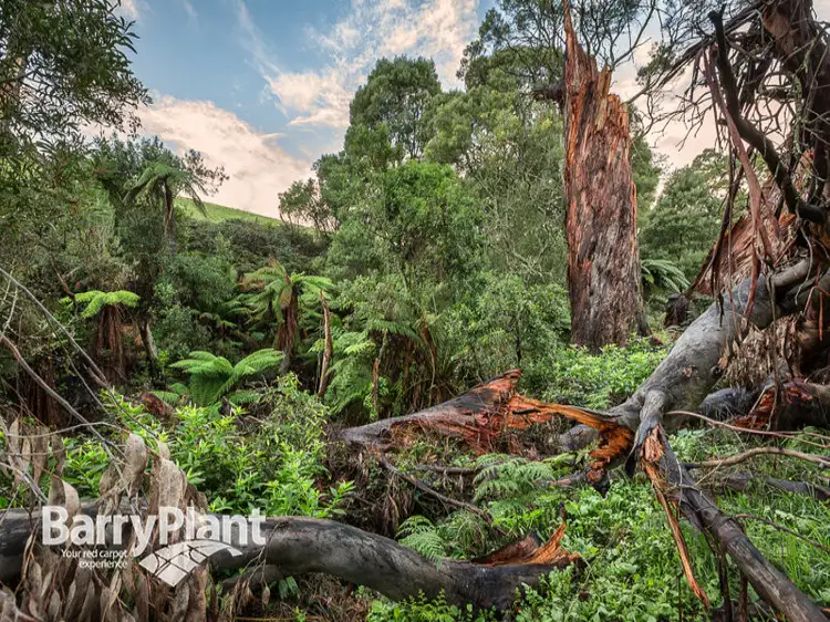 Fourth view of Homely land listing, 203 Belgrave Gembrook Road, Menzies Creek VIC 3159