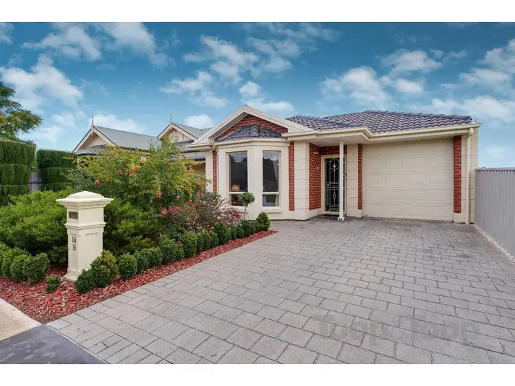 Main view of Homely house listing, 14B Powell Street, Magill SA 5072