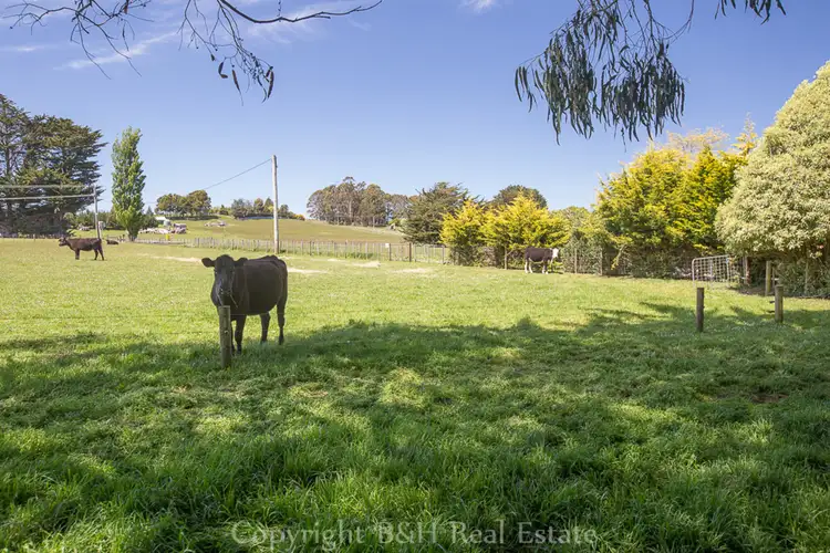 Fifth view of Homely rural property listing, 230 Ridgley Highway, Romaine TAS 7320