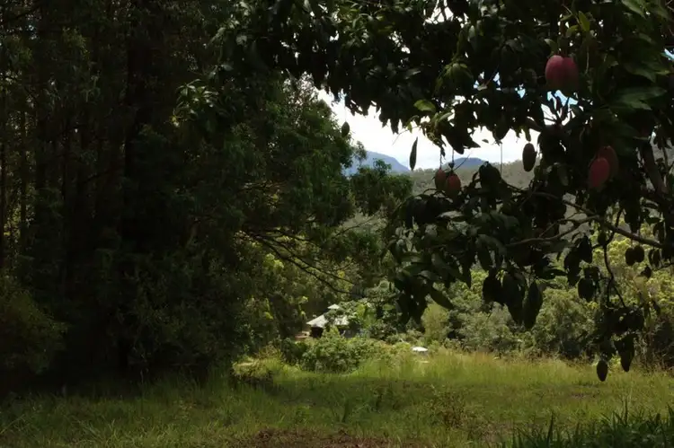 Main view of Homely rural property listing, 1355 Tyalgum Road, Tyalgum NSW 2484