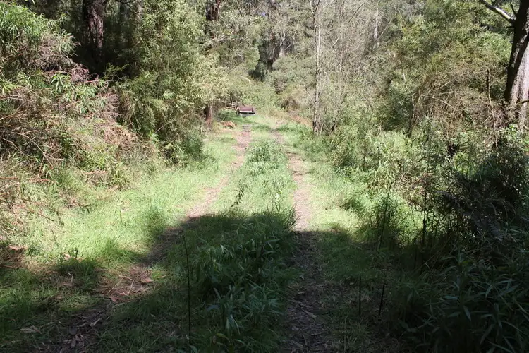 Sixth view of Homely rural property listing, 150 Jacksons Track, Gellibrand VIC 3239