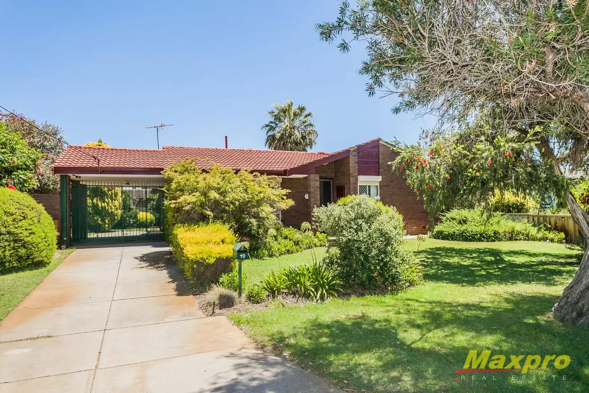 Main view of Homely house listing, 19 Elderberry Drive, Parkwood WA 6147