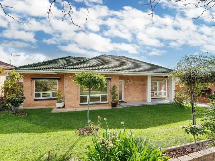 46 Eliza Place, Panorama SA 5041