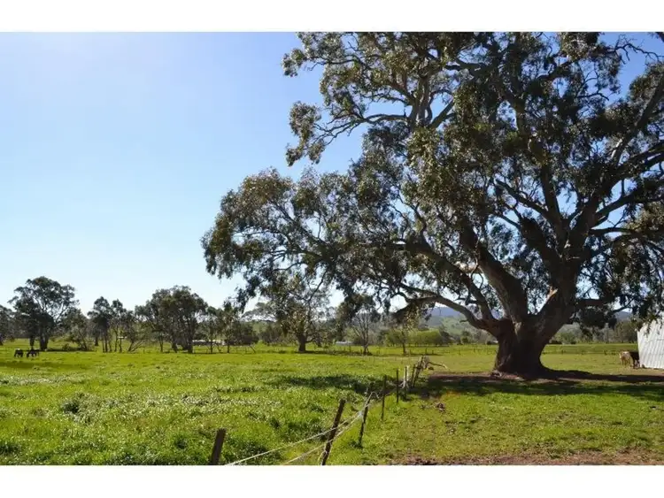 Sixth view of Homely rural property listing, LOT CA15, 117 Black Swamp Road, Mansfield VIC 3722