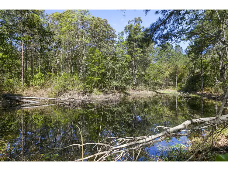 Sixth view of Homely rural property listing, 223 King Road, Mooloolah Valley QLD 4553