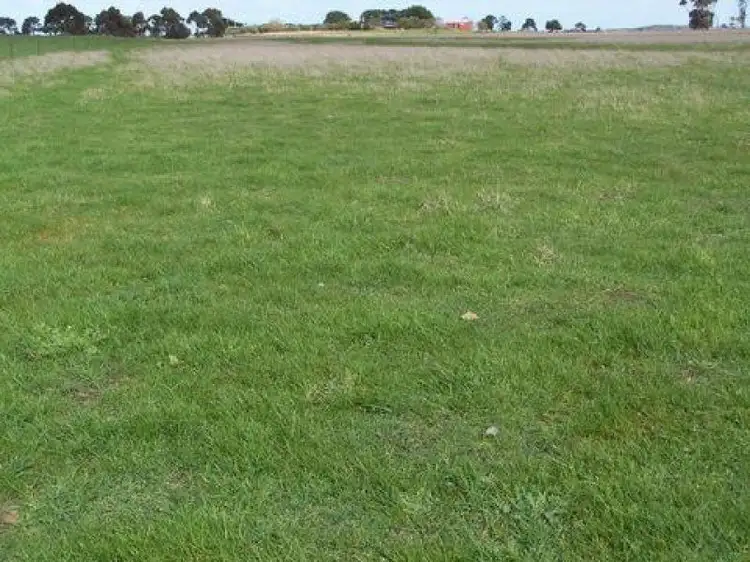Fifth view of Homely rural property listing, 1428 Hamilton Highway, Derrinallum VIC 3325