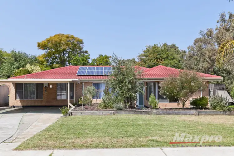 Main view of Homely house listing, 33 Iveston Road, Lynwood WA 6147