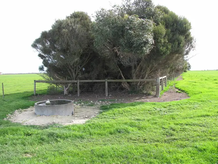 Fourth view of Homely rural property listing, Lot 636 & Lot 675 Cape Douglas Road, Cape Douglas SA 5291