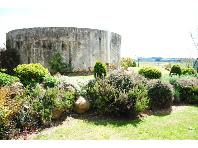 Sixth view of Homely rural property listing, 296 Wilsons Lane, Forest Reefs NSW 2798