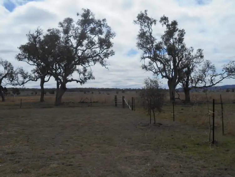 Second view of Homely rural property listing, 337 Forest Plains Road, Allora QLD 4362