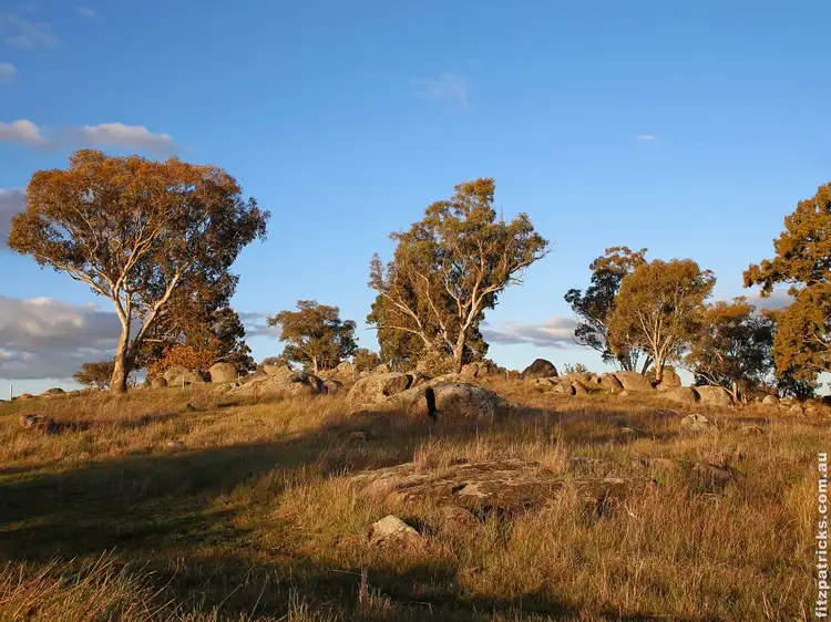 LOT 559, Stage Bradman Drive, Boorooma NSW 2650