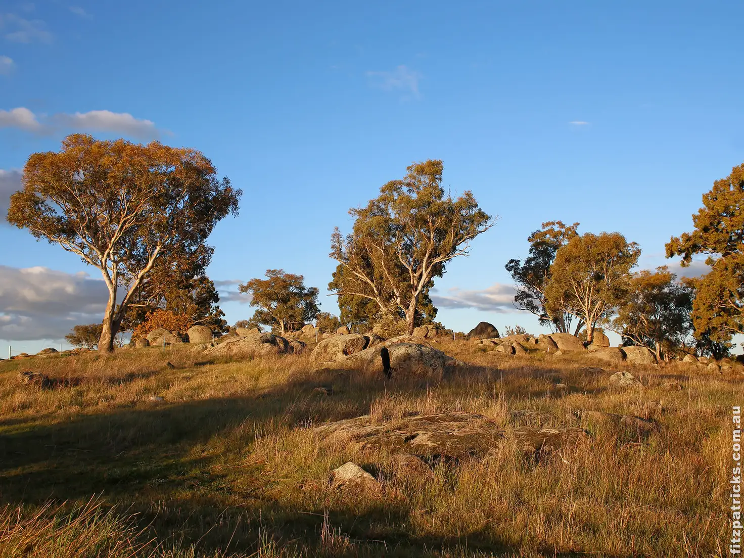 Main view of Homely land listing, LOT 559, Stage Bradman Drive, Boorooma NSW 2650