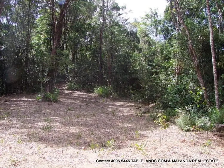 Sixth view of Homely rural property listing, LS1100 Lot 214 Kelly Road, Ellinjaa QLD 4886
