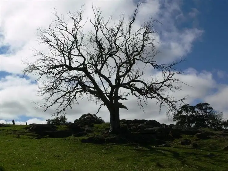 Seventh view of Homely land listing, Address available on request