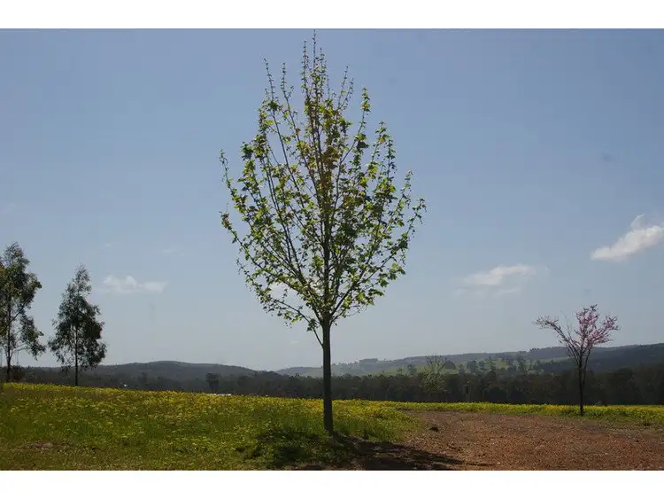 Seventh view of Homely house listing, 105 Dean Road, Nannup WA 6275