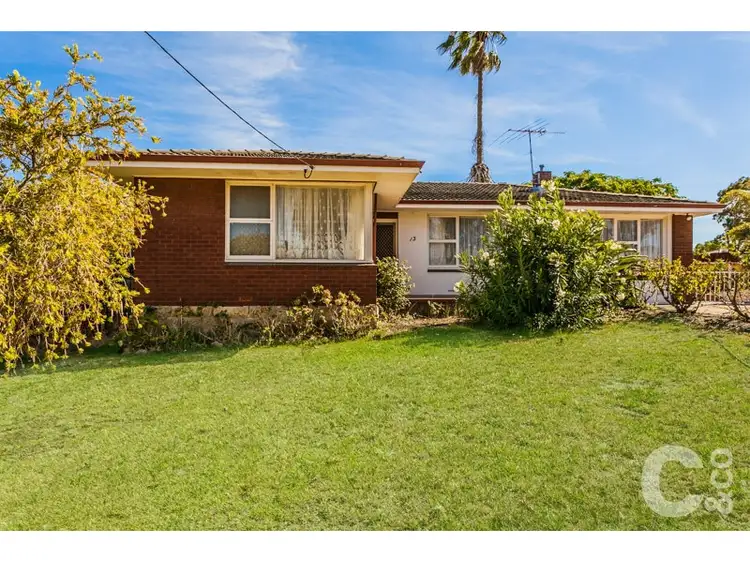 Main view of Homely house listing, 13 Clark Way, Orelia WA 6167