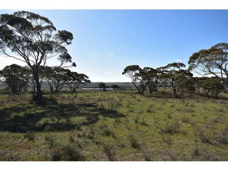 Main view of Homely rural property listing, Address available on request