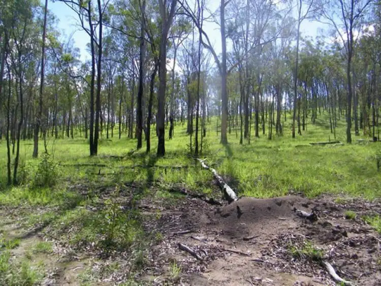 Fifth view of Homely rural property listing, 1221 Dude Ranch Road, Iveragh QLD 4680