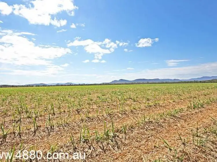 Fourth view of Homely rural property listing, Address available on request