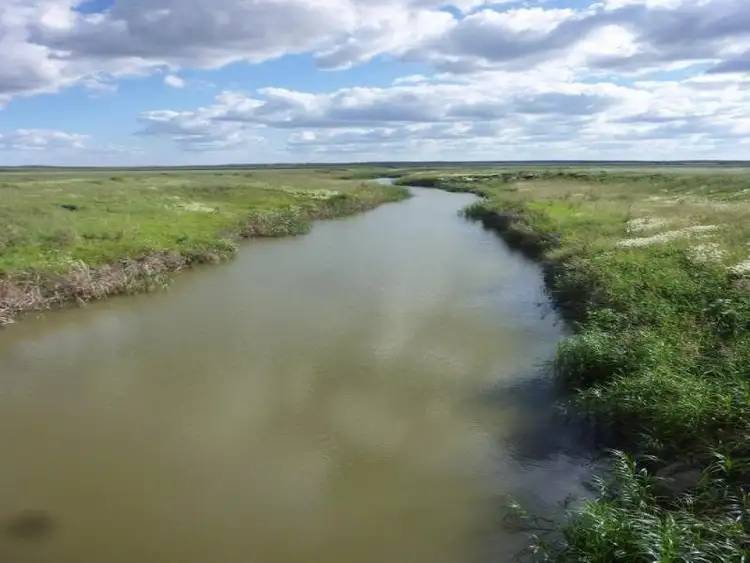 Fourth view of Homely rural property listing, 136 Logan Road, Clifton QLD 4361