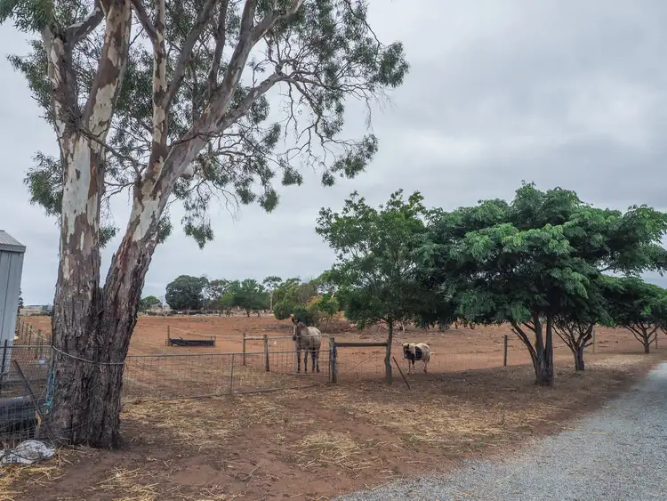 Sixth view of Homely rural property listing, 15 McLeod Lane, Whites Flat SA 5607
