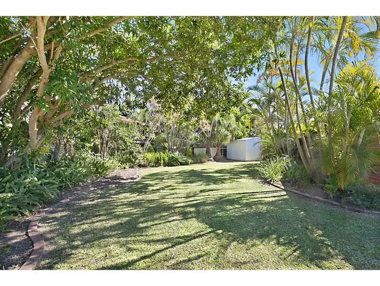 Second view of Homely house listing, 3 Elm Court, Browns Plains QLD 4118