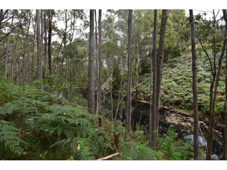 Third view of Homely rural property listing, Address available on request