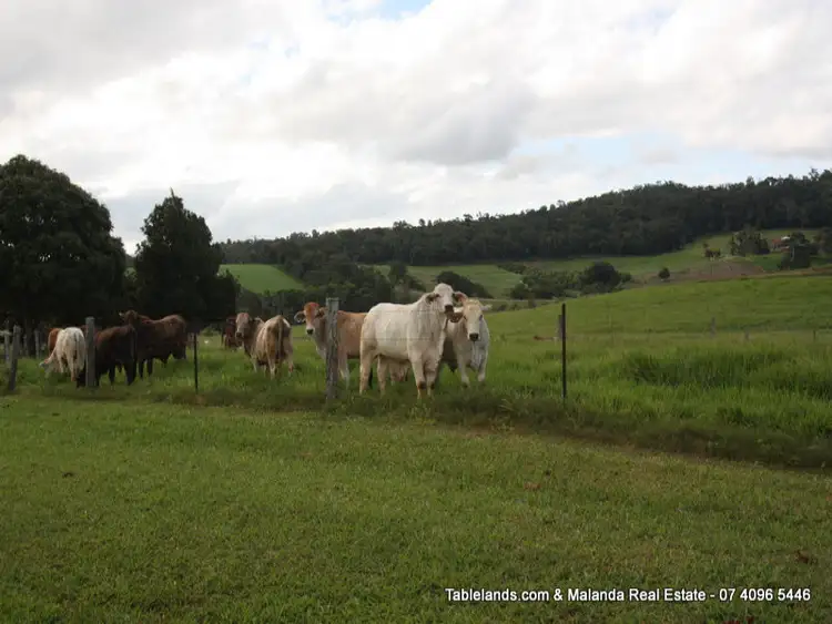 Seventh view of Homely rural property listing, F855 983 Lake Barrine Road, Peeramon QLD 4885