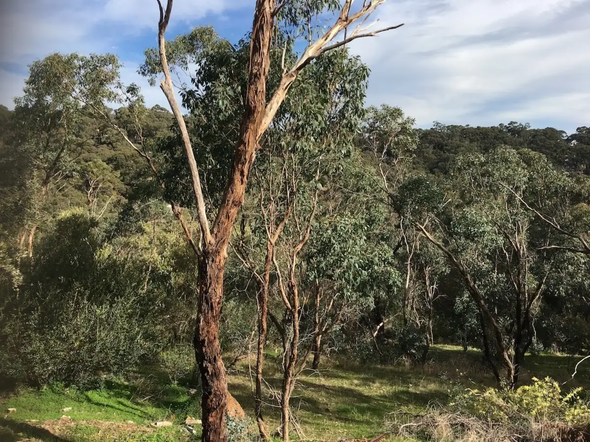 Main view of Homely land listing, 7C Euro Avenue, Eden Hills SA 5050