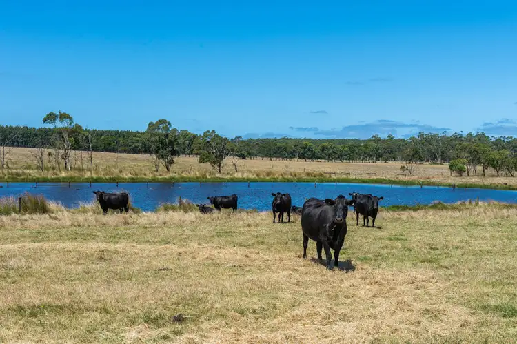 Third view of Homely rural property listing, 765 Tomahawk Creek Road, Irrewillipe VIC 3249